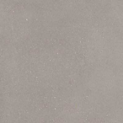 Ceralto Ivarno Core Vloertegel - 60X60 - 10mm - mat - zilver
