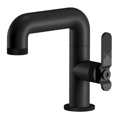 Plieger Torino robinet de lavabo 1-levier modèle bas Hauteur : 167 mm noir mat