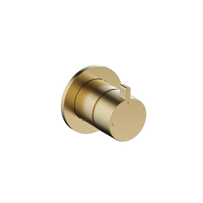 Hotbath Ace Afbouwdeel - 2-weg omstel - PVD - geborsteld messing (goud)