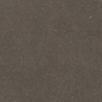 Ceralto Karsio Rock Tegels slabs klein - 120x120cm - 9.0mm - gerectificeerd - Noble brionne