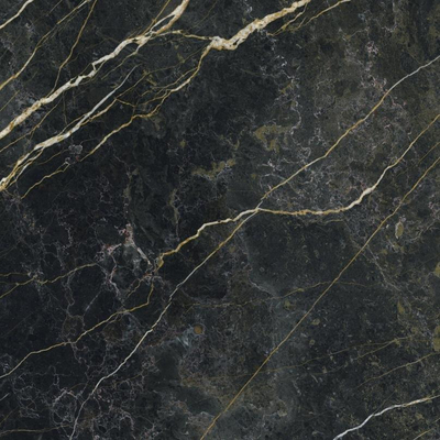 ÉCHANTILLON Terravito Cavinowand- en vloertegel - 120x120cm - 9.3mm - Carré - rectifié - Aspect marbre - Noir brillant
