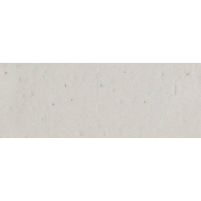 ÉCHANTILLON Ragno Glace Carreau mural 075X200 Bianco 9mm Brillant