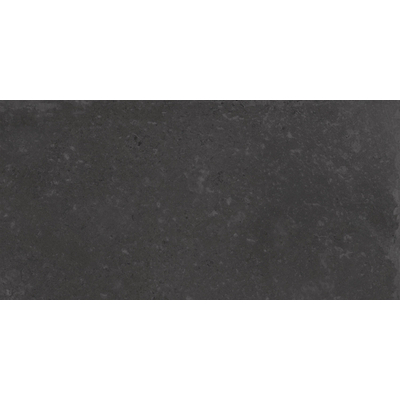 Terravito Calvero wand- en vloertegel - 30x60cm - 9.0mm - Rechthoek - gerectificeerd - Betonlook - mat antraciet