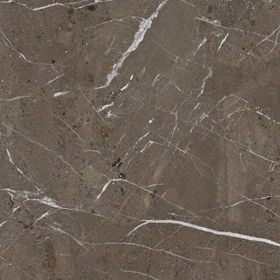 Ceralto Roccato Mineral Vloertegel - 60X60 - 6.5mm - mat - taupe