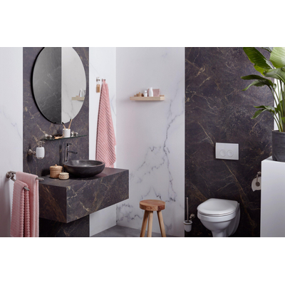 Haceka Allure Porte-rouleau de papier toilette - avec couvercle - inox brossé