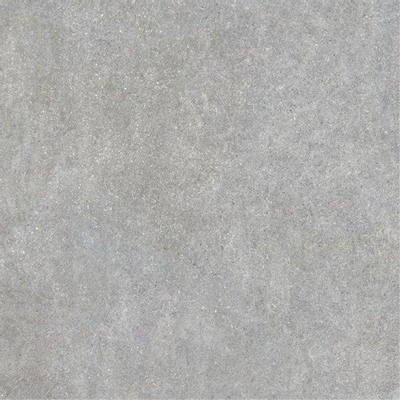ÉCHANTILLON Ceralto Gavira Plank Carrelage de sol et de mur 60x60cm 9.7mm rectifié R10 grès cérame Grey