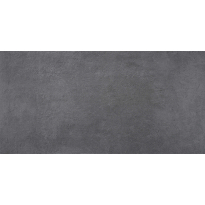 Terravito Belmiro wand- en vloertegel - 59.5x120cm - 10.0mm - Rechthoek - gerectificeerd - Betonlook - mat zwart - Silver