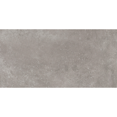 Terravito Velaro carrelage extérieur - 60x120cm - rectifié - effet béton - Pearl mat (gris)