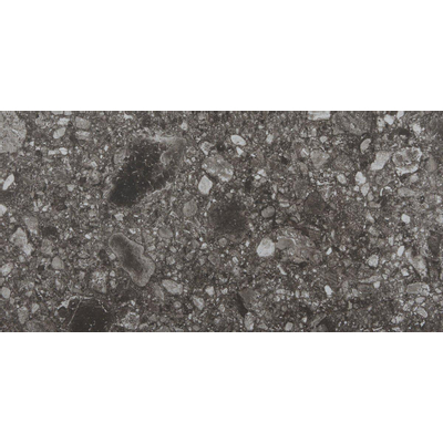 Vtwonen Carrelage de sol et de mur Composite 30x60cm 9mm rectifié R10 porcellanato Noir Anthracite