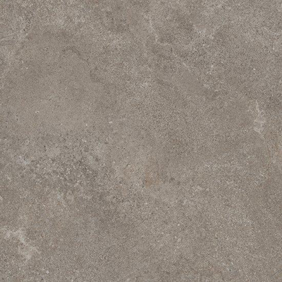 Ceralto Amaro Plank Vloertegel - 80x80cm - 9.0mm - gerectificeerd - Iron