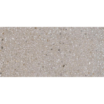 Ceralto Framel Carreau de sol - 59.7x119.7cm - 9.0mm - rectifié - mélange gris