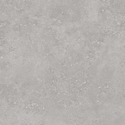 STN Ceramica wand- en vloertegel - 59.5x59.5cm - 9.5mm - gerectificeerd - Natuursteen look - Grey
