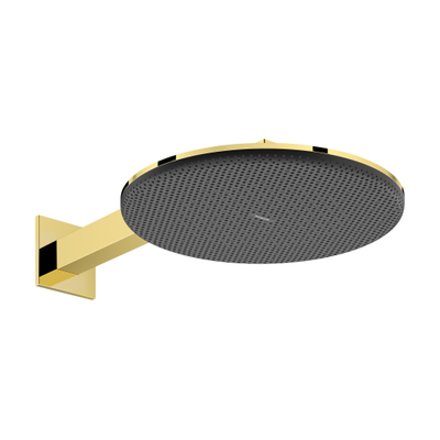 Hansgrohe Raindance alive S - hoofddouche 300 - 2jet - ecosmart wand - gepolijst goud (goud)