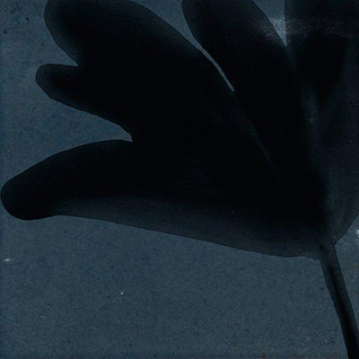 Marazzi Rice M9J9 WAtegel Decor 150X150 Blu Blos 10mm Glans