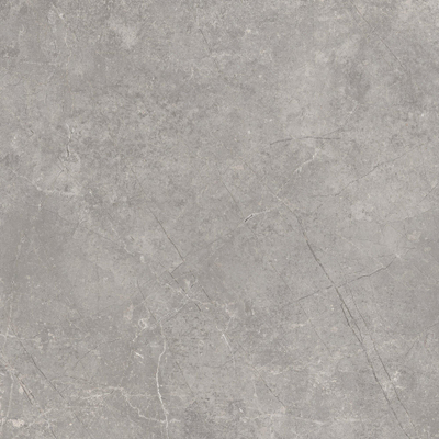 SAMPLE Terravito Unicoa wand- en vloertegel - 60x60cm - 9mm - gerectificeerd - Grijs