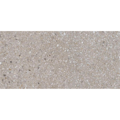 Ceralto Framel Carreau de sol - 59.7x119.7cm - 6.0mm - rectifié - Grey mix