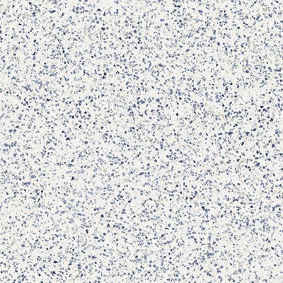 Ceralto Nocera Mini Carreau de sol - 120x120cm - 9.0mm - rectifié - Azzuro