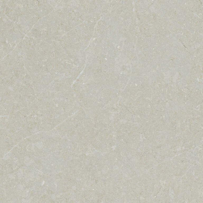 ÉCHANTILLON Terravito Elvano Carrelage parquet céramique mural et de sol - 60x60cm - 9mm - Bone