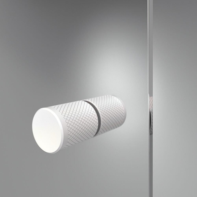 Sealskin Contour Porte pivotante pour niche 100x200 cm, verre de sécurité clair 6 mm Blanc mat