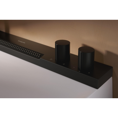 Hansgrohe Avalegra Wastafel / Fontein
