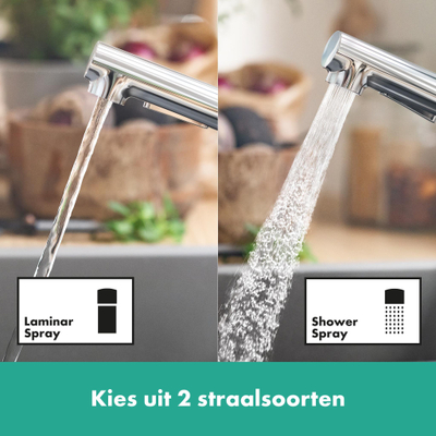 Hansgrohe Zesis 1-gr keukenmengkraan 150 uittrekbare v.douche chr.