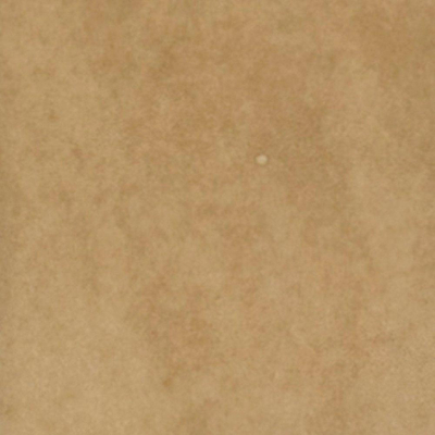 SAMPLE Ceralto Dorsena Rock Wandtegel 10x10cm 10mm Cammello
