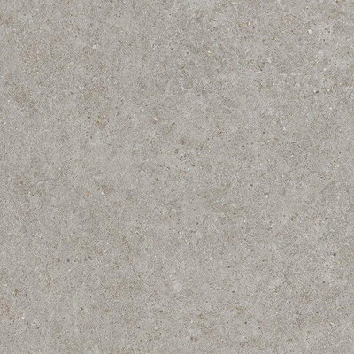 Ceralto Gravito Raw Carrelage de sol - 80x80cm - 9.0mm - rectifié - gris