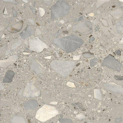 Ceralto Elaris Oak Carreau de sol - 60x60cm - 9.0mm - rectifié - Sassi grigio p