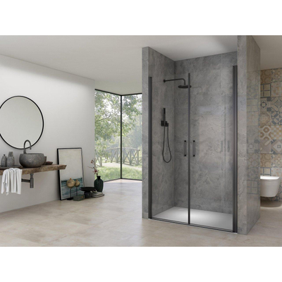 Van Rijn Products ST02 Saloondeur - 90x200cm - incl glasbehandeling - incl muurprofiel - zwart