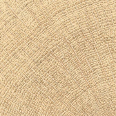 Vtwonen Tegels Woodcirkle Vloertegel - 10x10cm - 9.5mm - Oak