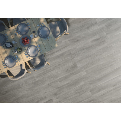 Prissmacer Cerámica Trunk Carrelage en céramique pour mur et sol - 23x120cm - 10.5mm - Gris