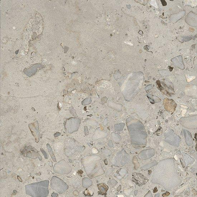 Ceralto Elaris Oak Carreau de sol - 60x60cm - 9.0mm - rectifié - Sassi grigio p