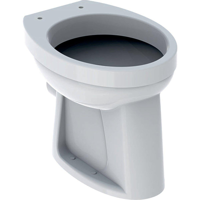 Geberit 300 Basic cuvette WC-95 à chasse plate 35.5x47cm PK blanc