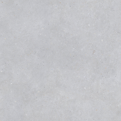 ÉCHANTILLON Terravito Cosano Carrelage sol et mur - 80x80cm - rectifié - gris mat