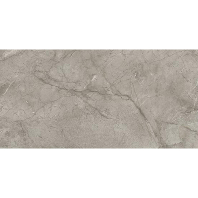 Atlas Concorde Marvel Meraviglia Vloertegel - 59.5x119.5cm - 9.0mm - gerectificeerd - Silver majestic