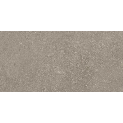 Ceralto Olivaro Sete Vloertegel - 30X60 - 10mm - mat - zilver