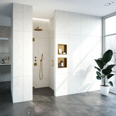 BRAUER Void nisdeur helder glas 70x200 omkeerbaar incl. glascoating PVD goud geborsteld