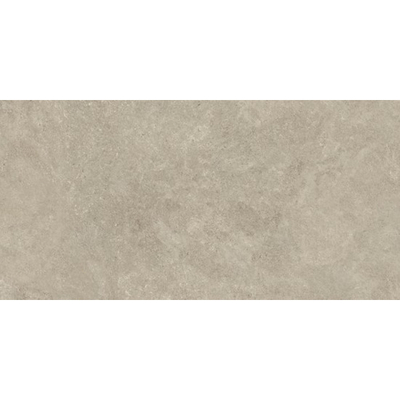 ÉCHANTILLON Ceralto Sylvaro Grain Carreau de sol - 60x120cm - 9.0mm - rectifié - Oyster