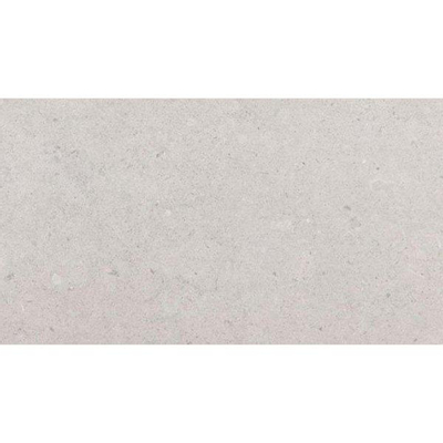 ÉCHANTILLON Pavigres Antica Carreau mural 25x45cm 7.5mm éclat blanc Gris