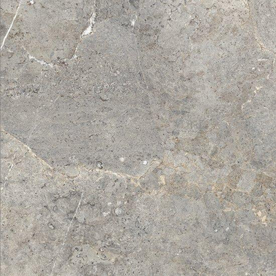 Ceralto Palazzo Vein Carrelage de sol - 100x100cm - 8.5mm - rectifié - Evergreige