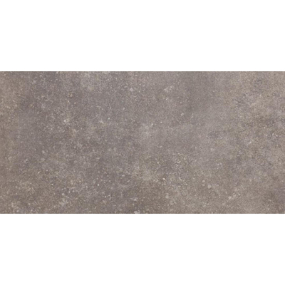 SAMPLE Ceralto Quercio Plank Vloer- en wandtegel 30x60cm 8.8mm gerectificeerd R10 porcellanato Musk