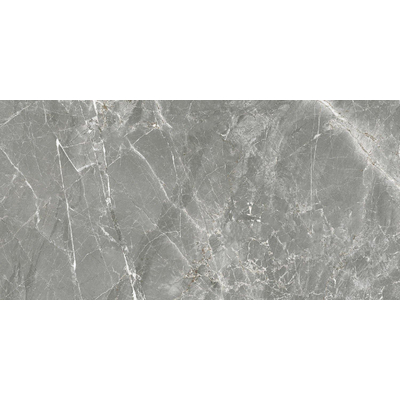 ÉCHANTILLON Terravito Gizino Carrelage sol & mur en céramique - 30x60cm - 9.5mm - rectifié - Gris