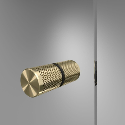 Sealskin Contour Porte pivotante avec paroi latérale 100x100x200cm verre de sécurité transparent 6mm avec revêtement anticalcaire Or brossé