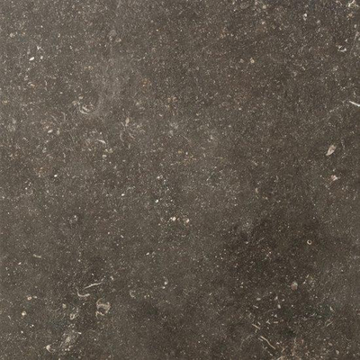 SAMPLE Ceralto Regalia Luxe 600X600 Elemental Desir Mat