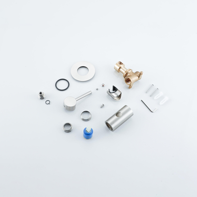 Fortifura Calvi Mélangeur Bidet - avec support de douchette - inox brossé