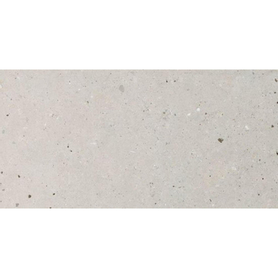 Italgranit silv.grain carreau de sol 60x120cm 9,5 avec antigel rectifié gris mat