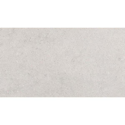 ÉCHANTILLON Pavigres Antica Carreau mural 25x45cm 7.5mm éclat blanc Gris
