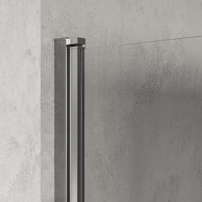 BRAUER Cosmic Nisdeur - 80x200 - draaiend - helder - glas omkeerbaar incl. glascoating - geborsteld RVS PVD