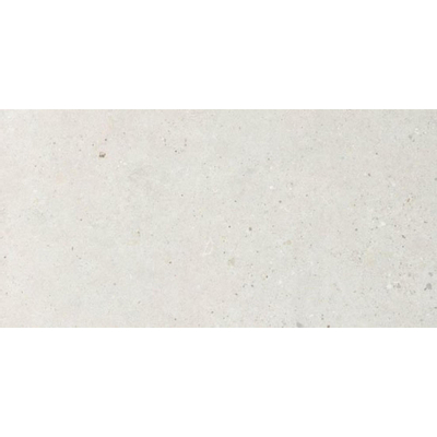 Italgranit silv.grain carreau de sol 60x120cm 9,5 avec antigel rectifié blanc mat