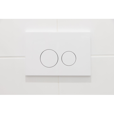 Plaque de commande QeramiQ Push avec support pour blocs de toilette - pour réservoir encastré Geberit UP320 - double chasse - boutons ronds - plastique - incluant 12 blocs de toilette - blanc mat